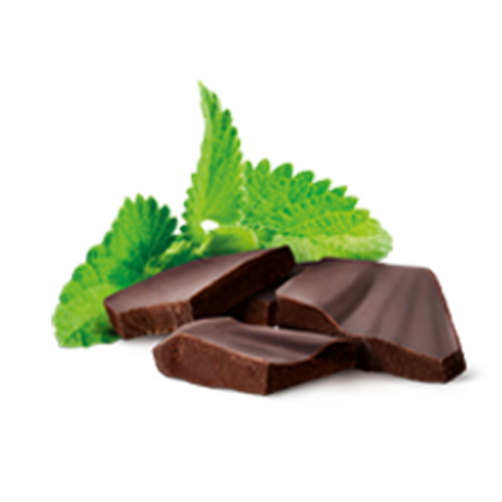 Mint leaves and Chocolate